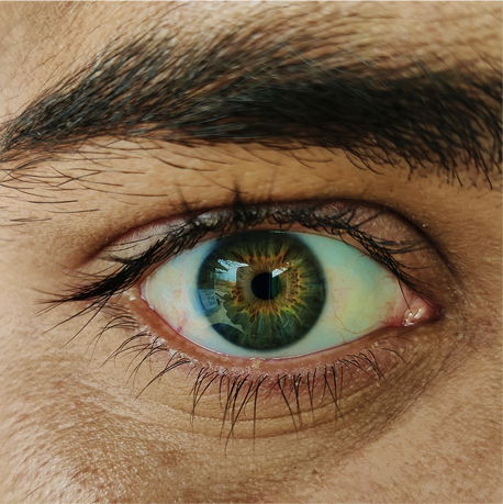 Close-up of a human eye reflecting detail and precision